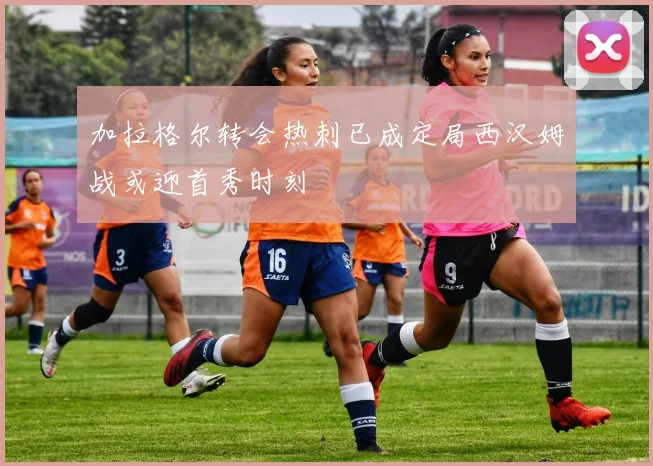 加拉格尔转会热刺已成定局西汉姆战或迎首秀时刻